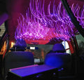 1200pc starlight headliner kit